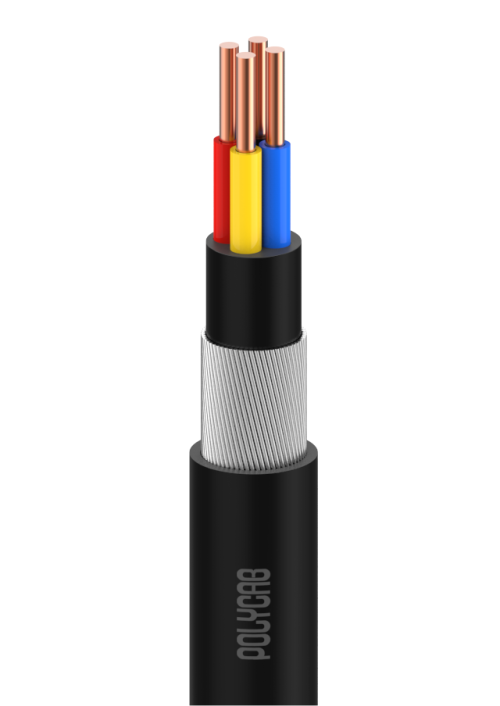 Polycab LT Copper Armoured Control XLPE and PVC Cable